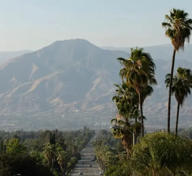 roark finance and accounting in inland empire - res